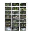 《园林花窗库》节选连载（三）1-2 瓦花窗和瓦花墙