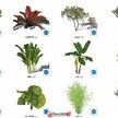 一些常见的园林热带3D植物