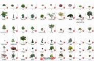 170个照片级植物素材~ 资源放送！！！